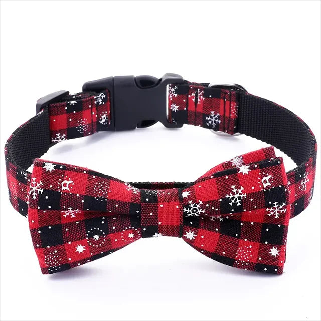 Collier pour chien / festivals confortable et élégant