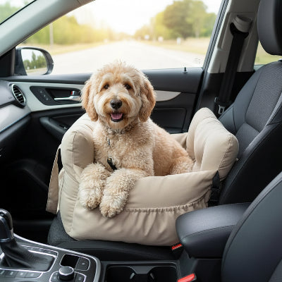 siege auto chien resistant et fiable jaune voiture