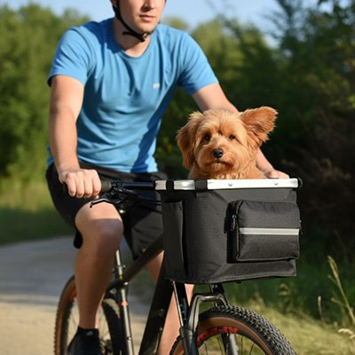 Vélo panier Chien stable et résistant maître balade avec son chien