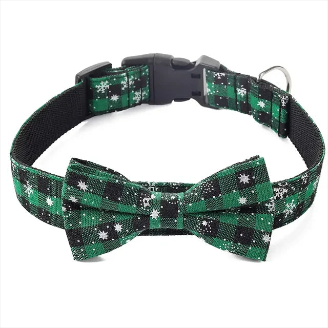 Collier pour chien / festivals confortable et élégant
