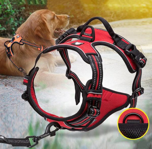 SafetyHarness™ - Harnais pour animal de compagnie - Comptoir des chiens