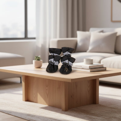 Chaussures chien noir sur une table salon