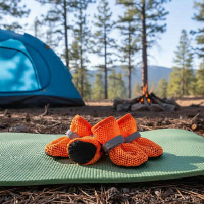Chaussures chien orange terrain camping