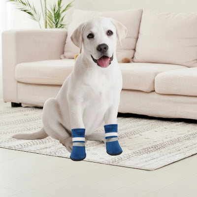 Chaussures pour chien rouge assis au salon