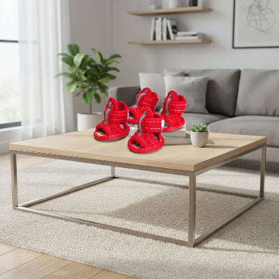 Chaussures pour chiens rouge sur table salon