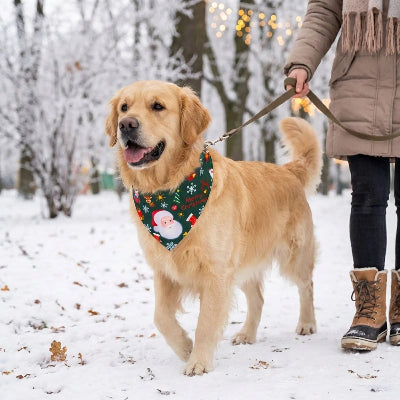 Collier bandana joie et bonheur marche avec son maitre dans la neige