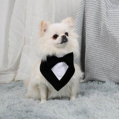 Collier Bandana luminaPet
 noir 