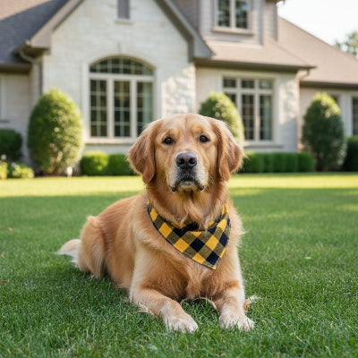 Collier bandana style elegance