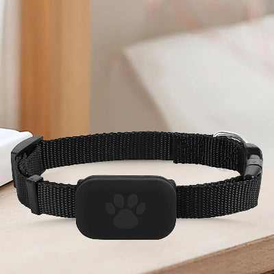 Collier connecté chien sans abonnement gps autonome noir sur une table 
