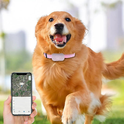 
Collier connecté chien sans abonnement gps autonome rose gps main maitre
