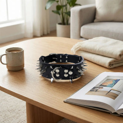 Collier fluorescent chien sur la table tasse livre a cote
