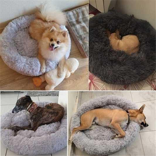 DoggyPouf™ - Coussin doux pour chien - Comptoir des chiens