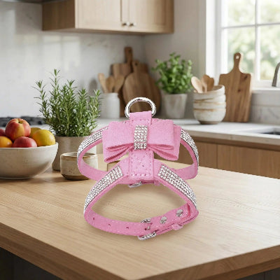Harnais chiot rose sur une table de cuisine
