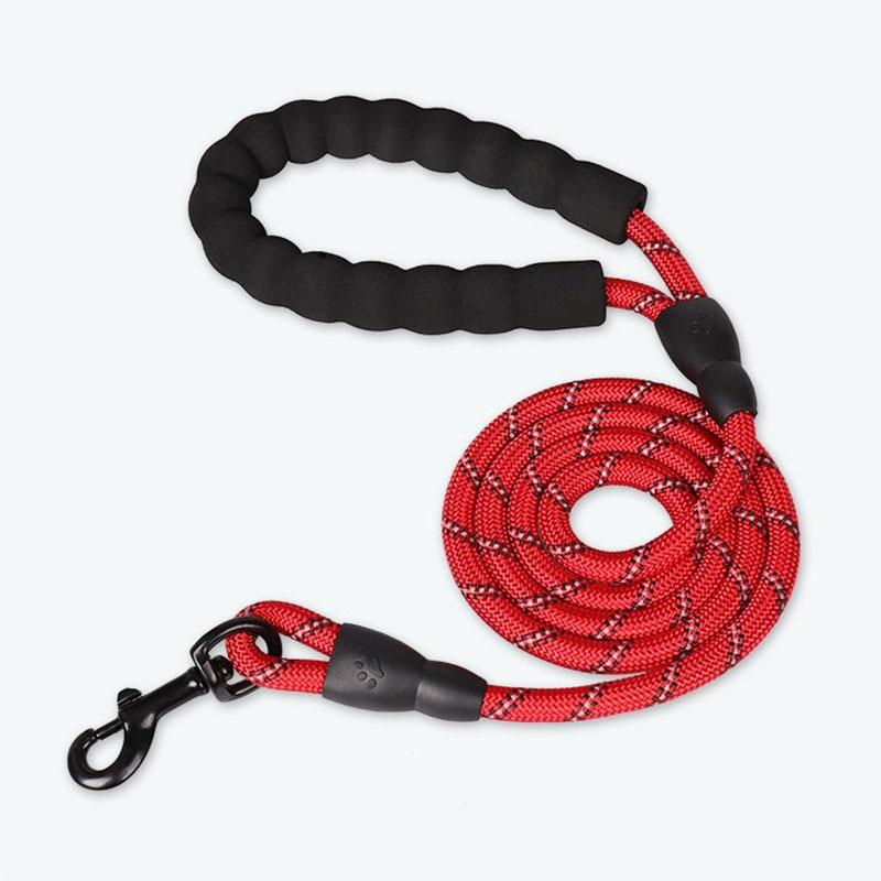 LaisseEduc™ - Corde en Nylon pour chien | Chien - Comptoir des chiens
