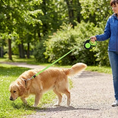 Laisse chien solide liberté Contrôlée vert chien balade maitre