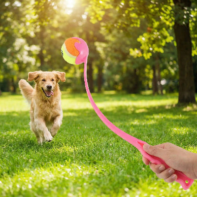 Lanceur de balle pour chien rose maitre joue chien essaie de prendre