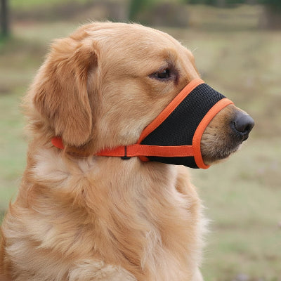 Museliere bouledogue francais orange ajuster et confortable