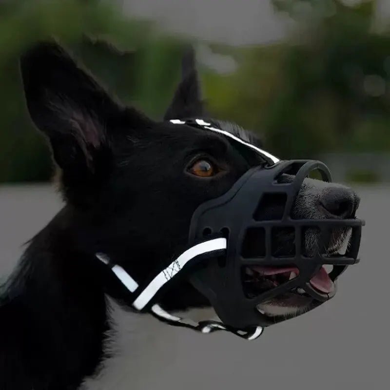 Anti - BarkDog™ - Comptoir des chiens