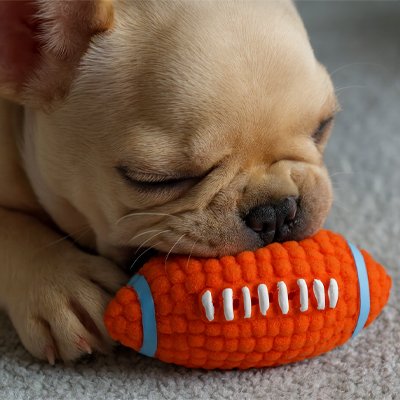 Balle pour Chien dans la bouche du petit chien