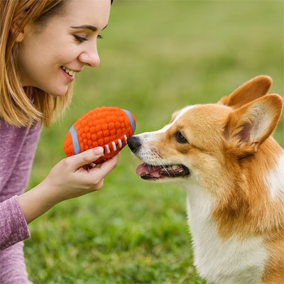 Balle pour Chien dans la main de maitre met devant le visage du chien