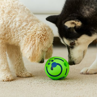 Balle pour Chien entre deux chiens