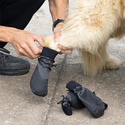Chaussure Chien noir ajustable maitre par son maitre