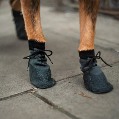 Chaussure Chien noir  super ajustable 