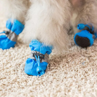 Chaussures chien​ bleu pattes ajuste