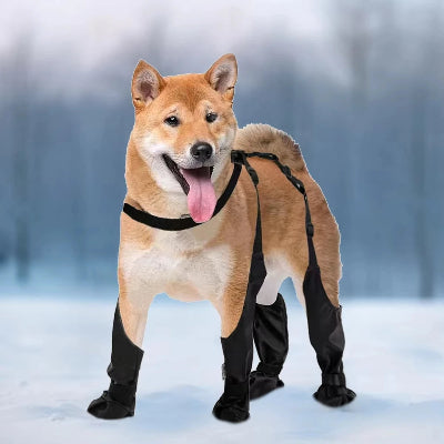 chaussures chien noir bien confort et bien au chaud hiver