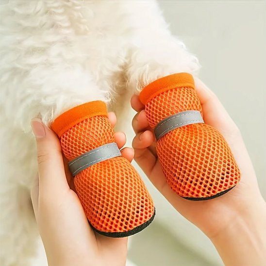 Chaussures chien​ orange avec mains maitre