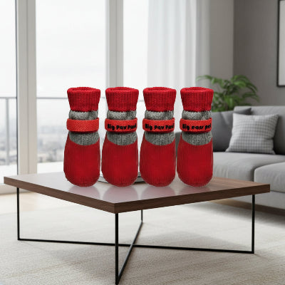 chaussures pour chien rouge table au salon