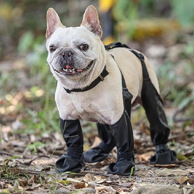 Chaussures pour chiens noir quatre pattes