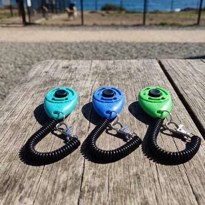 Clicker chien vert bleu bleu clair sur table dans un parc