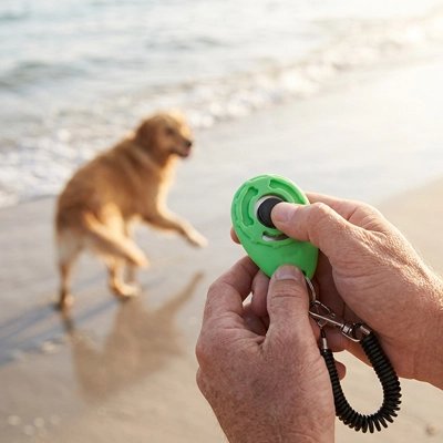 Clicker chien vert chien au bord de l'eau 