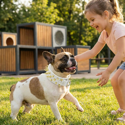 collier a pointe cuir protecteur joue au parc avec une petite fille