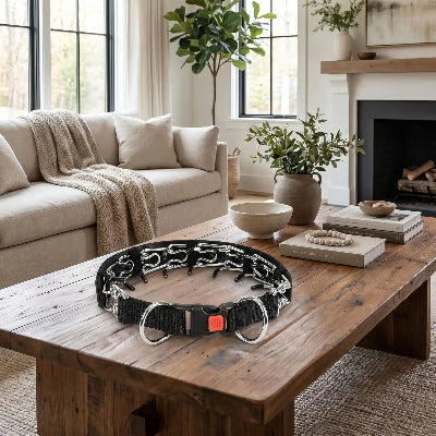 collier a pointe pour chien dressage doux sur table salon