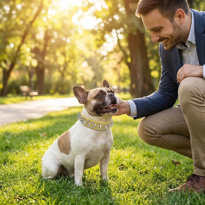 collier a pointe punk jaune son maitre sur la pelouse