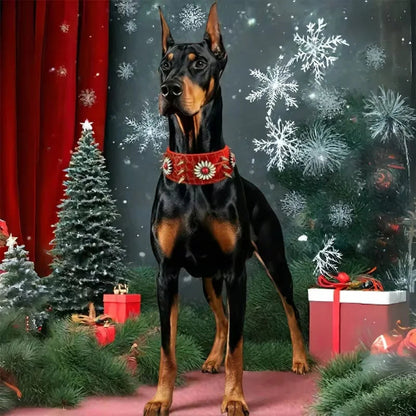 collier a pointes pour chien noël 
