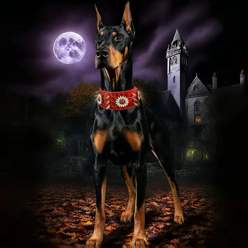 collier a pointes pour chien  pleine lune