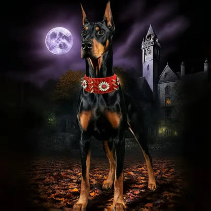 collier a pointes pour chien  pleine lune