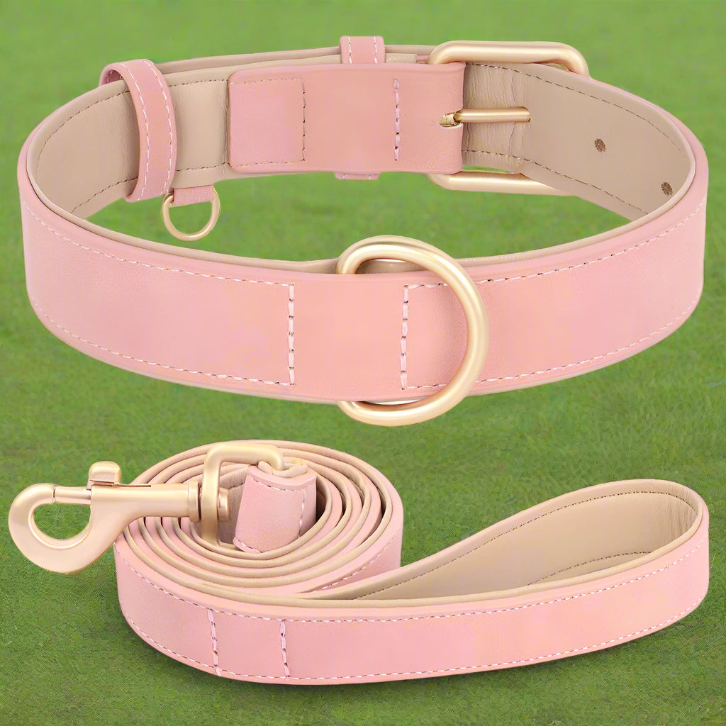 collier chien ensemble rose