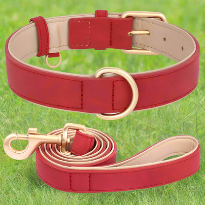 collier chien ensemble rouge