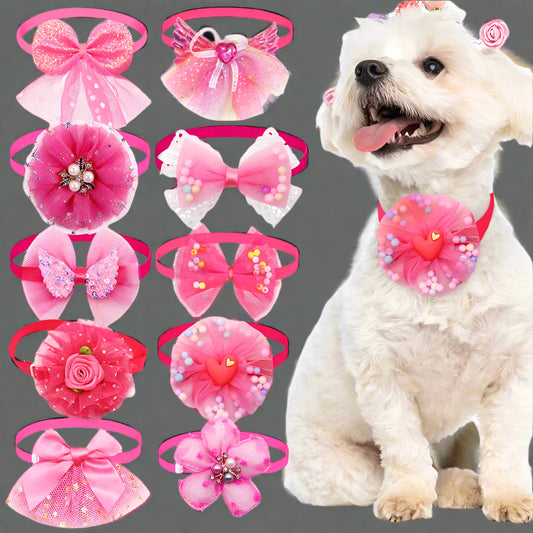 collier chien rapprochant rose lot
