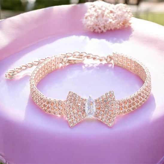 collier chien sur violet