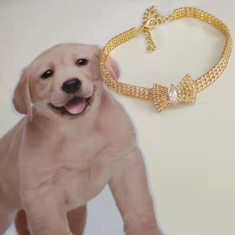 collier chien tete or