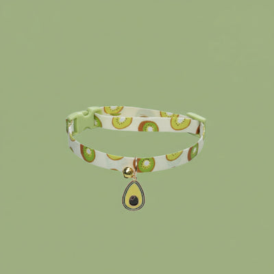 Collier chiot Kiwi dans le confort