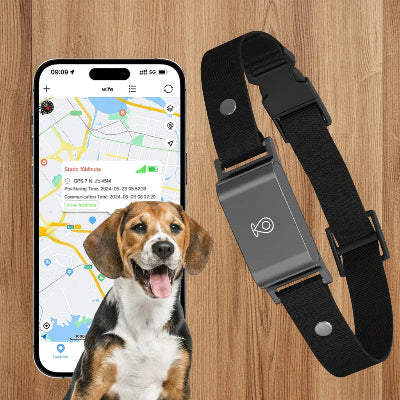collier connecté chien sans abonnement gps temps réel  noir