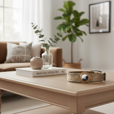 collier gps chien khaki sur une table au salon