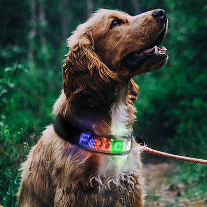 collier lumineux chien led animation