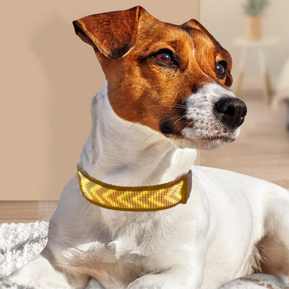 collier lumineux chien led jaune animation